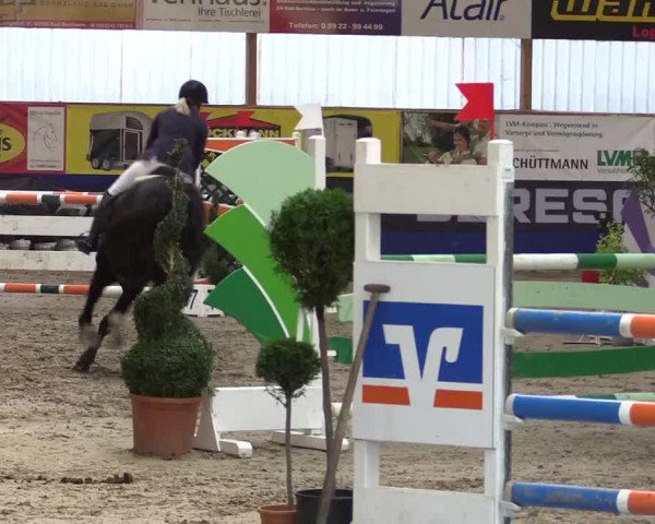 Springturnier Isterberg 2016