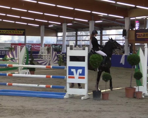 Springturnier Isterberg 2016