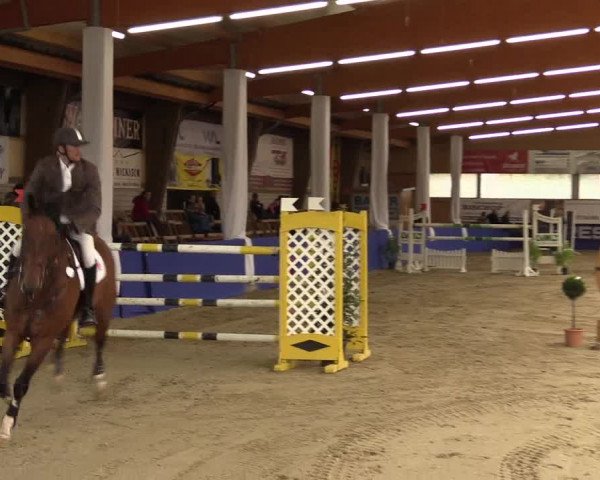 Springturnier Isterberg 2016