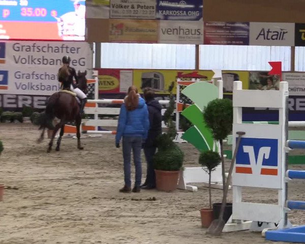 Springturnier Isterberg 2016
