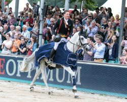 stallion Cayenne WZ (Holsteiner, 2005, from Claudio)