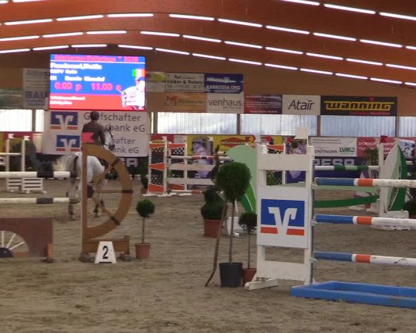 Springturnier Isterberg 2016