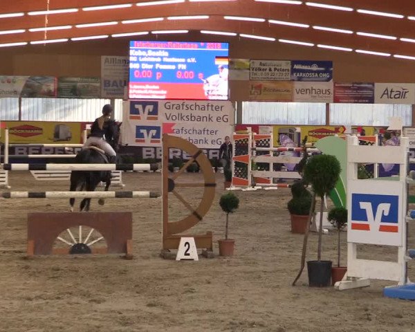 Springturnier Isterberg 2016