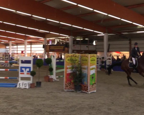 Springturnier Isterberg 2016