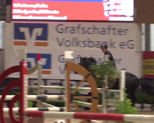 Springturnier Isterberg 2016