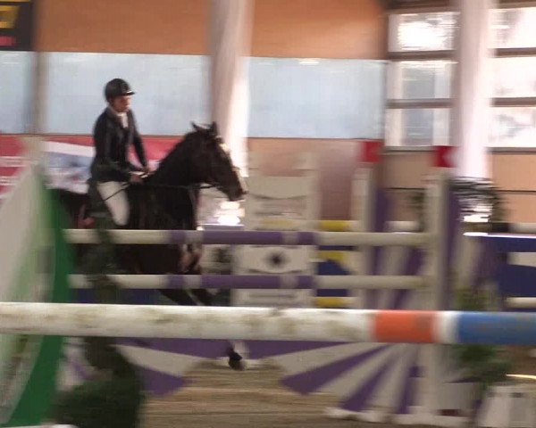 Springturnier Isterberg 2016