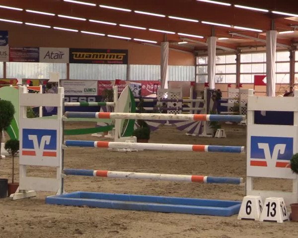 Springturnier Isterberg 2016