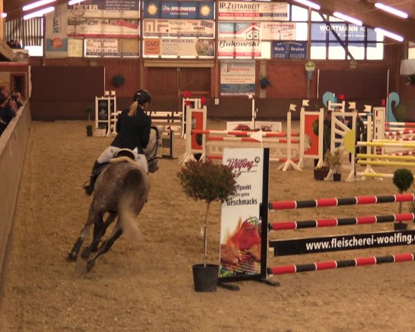 Reineberger Reittage 2016