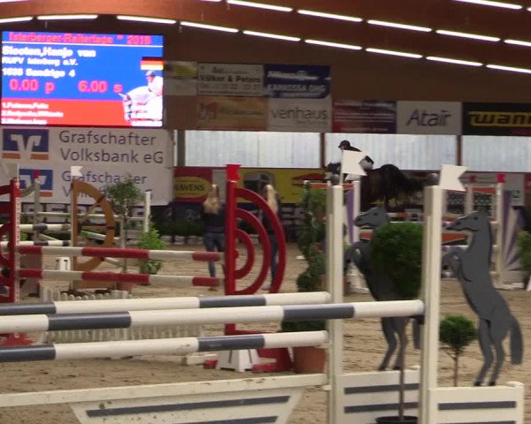 Springturnier Isterberg 2016