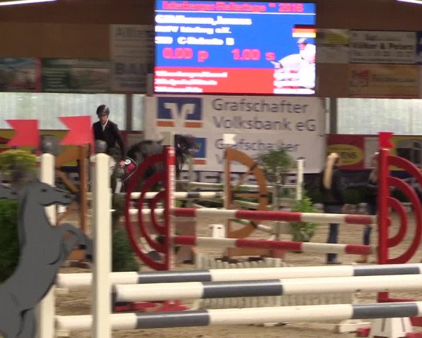 Springturnier Isterberg 2016