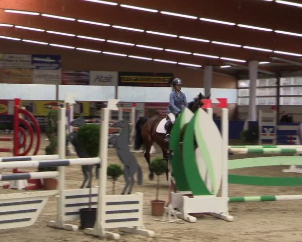 Springturnier Isterberg 2016