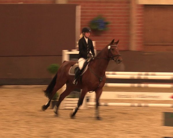 Reineberger Reittage 2016