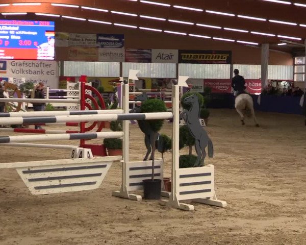 Springturnier Isterberg 2016