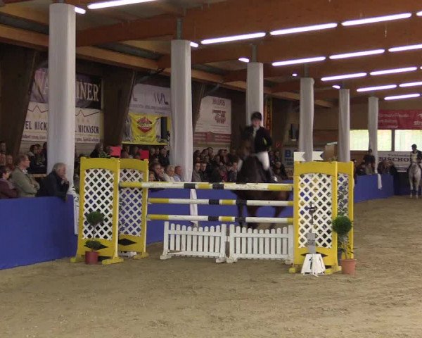 Springturnier Isterberg 2016