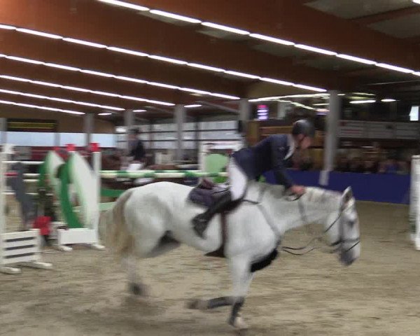 Springturnier Isterberg 2016