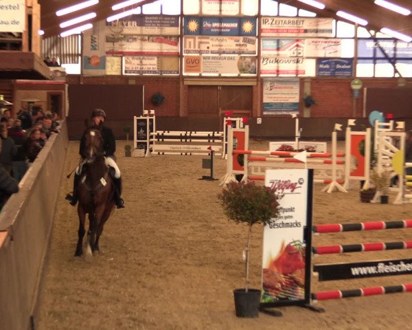 Reineberger Reittage 2016
