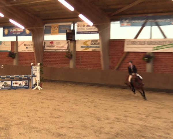 Reineberger Reittage 2016