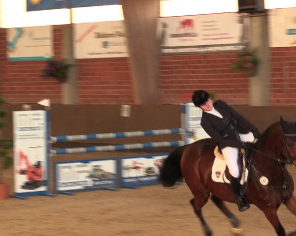 Reineberger Reittage 2016