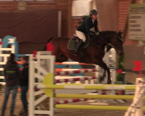 Reineberger Reittage 2016