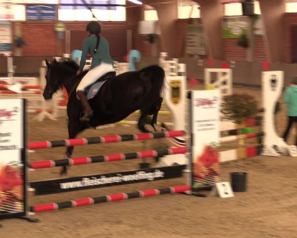 Reineberger Reittage 2016