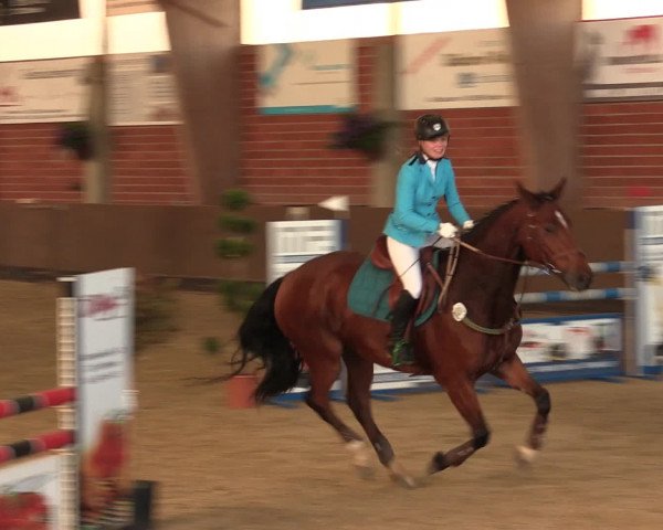 Reineberger Reittage 2016