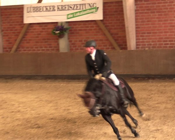 Reineberger Reittage 2016