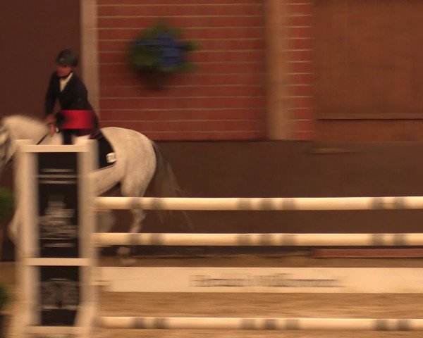 Reineberger Reittage 2016