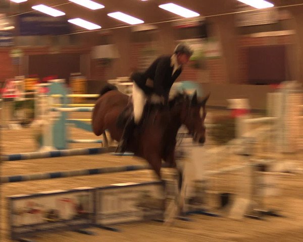 Reineberger Reittage 2016