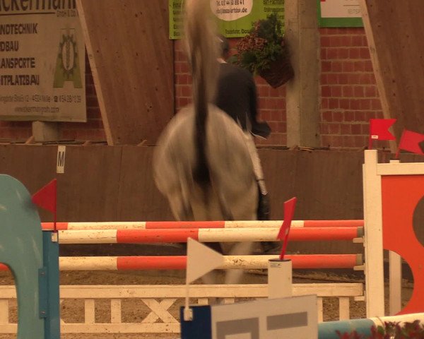 Reineberger Reittage 2016