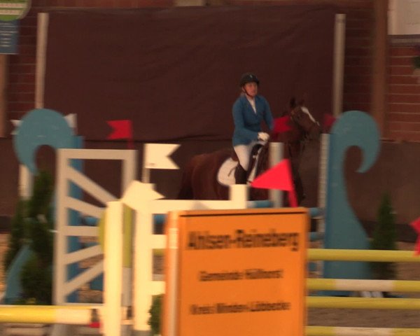 Reineberger Reittage 2016