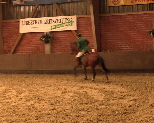 Reineberger Reittage 2016