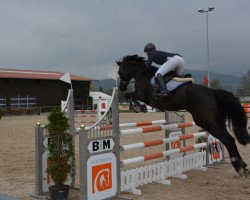 broodmare Chenoa Awr CH (Swiss Warmblood, 2011, from Cantoblanco)