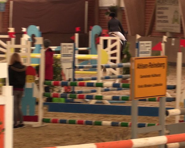 Reineberger Reittage 2016