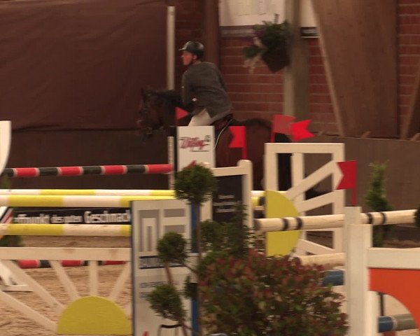 Reineberger Reittage 2016