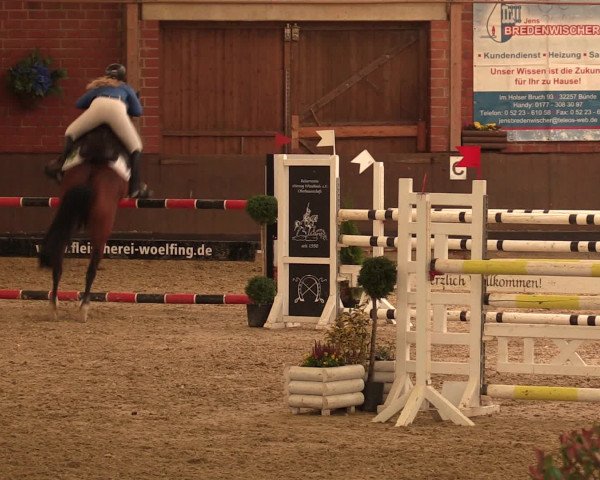 Reineberger Reittage 2016