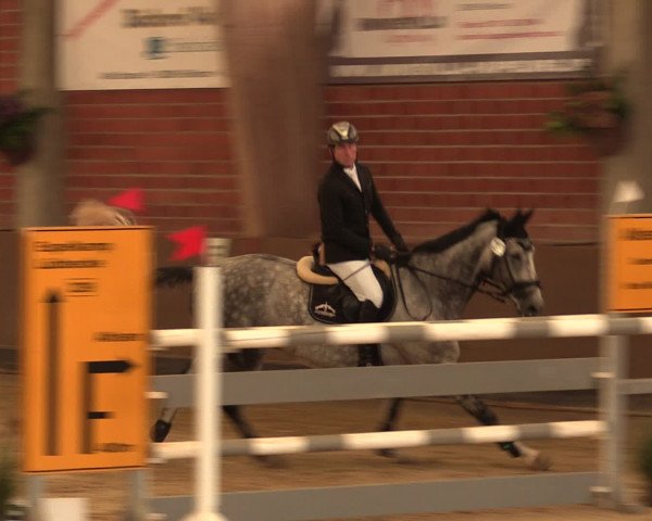 Reineberger Reittage 2016