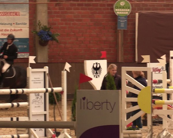 Reineberger Reittage 2016