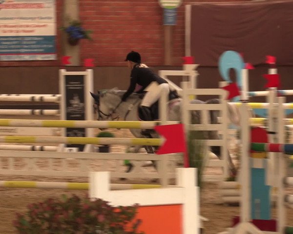 Reineberger Reittage 2016