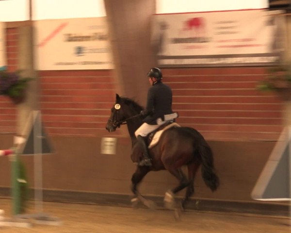 Reineberger Reittage 2016