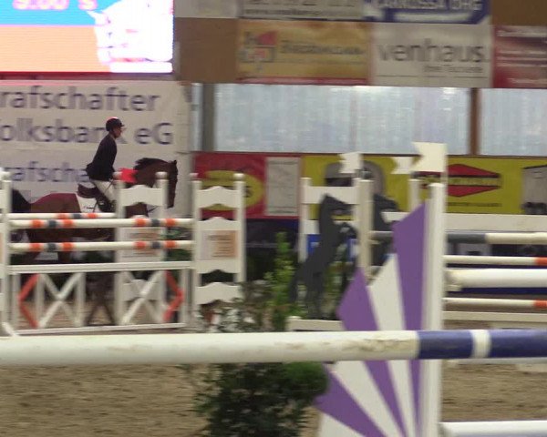 Springturnier Isterberg 2016