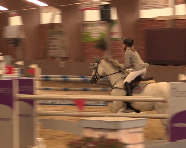 Reineberger Reittage 2016