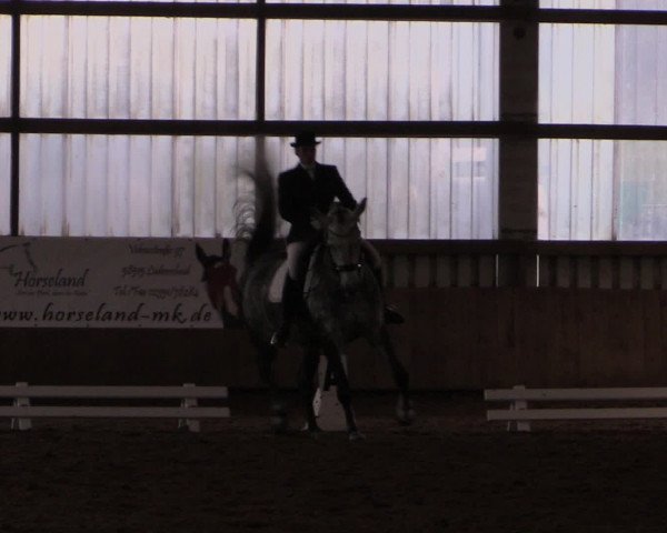 16. Hallen-Dressurturnier Werdohl-Rentrop 2016