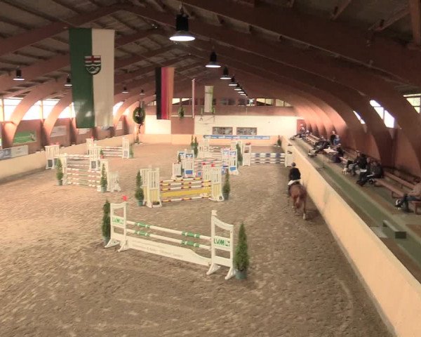Springturnier Hövelhof 2016