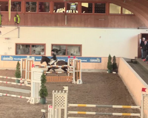 Springturnier Hövelhof 2016