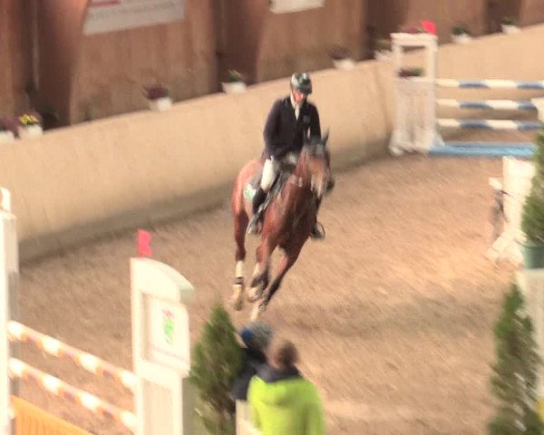 Springturnier Hövelhof 2016