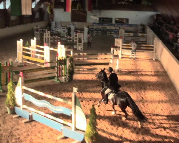 Springturnier Hövelhof 2016
