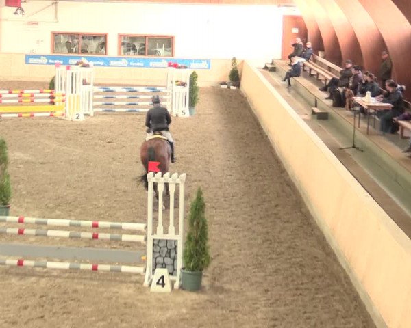 Springturnier Hövelhof 2016
