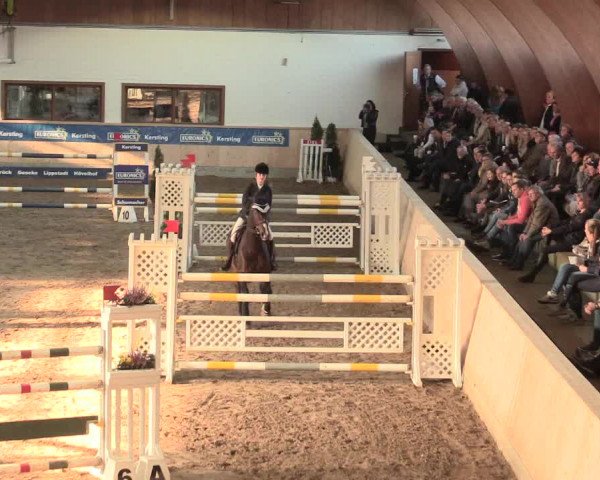 Springturnier Hövelhof 2016