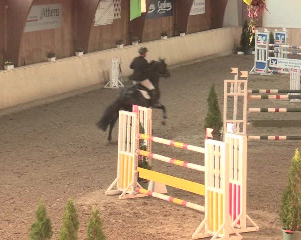 Springturnier Hövelhof 2016