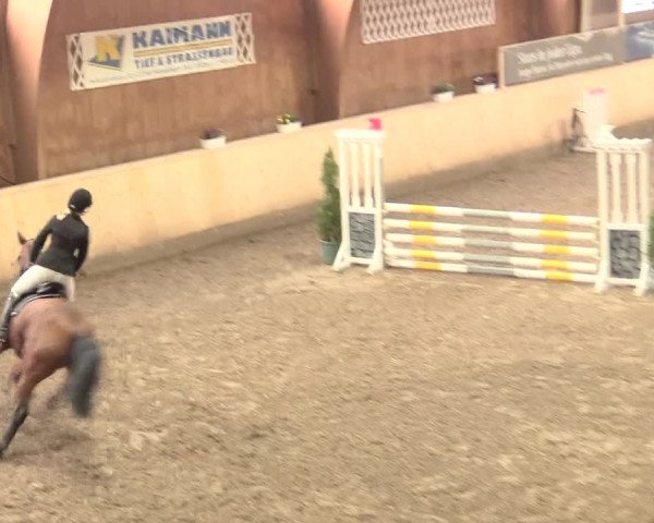Springturnier Hövelhof 2016